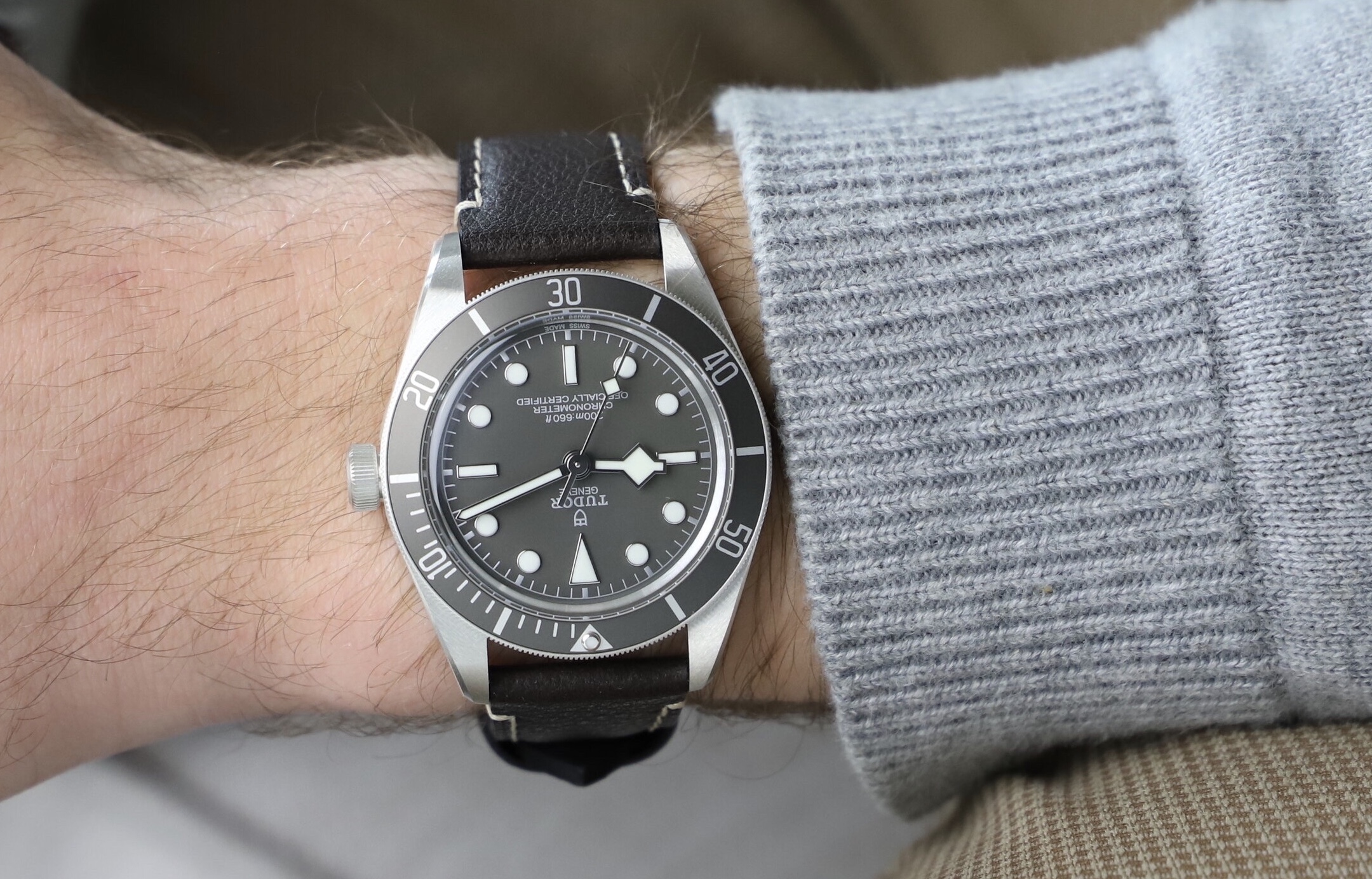 Tudor 79010SG SILVER