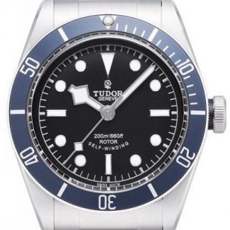 Tudor Black Bay 79220B